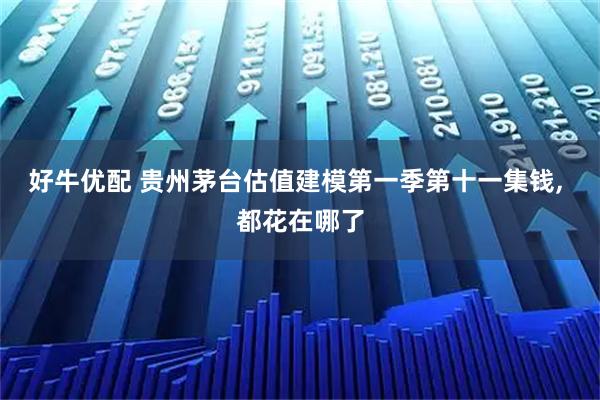 好牛优配 贵州茅台估值建模第一季第十一集钱, 都花在哪了