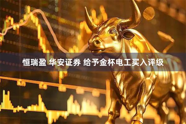 恒瑞盈 华安证券 给予金杯电工买入评级