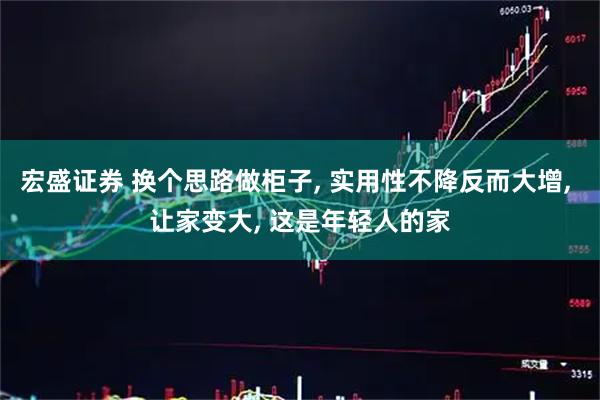 宏盛证券 换个思路做柜子, 实用性不降反而大增, 让家变大, 这是年轻人的家